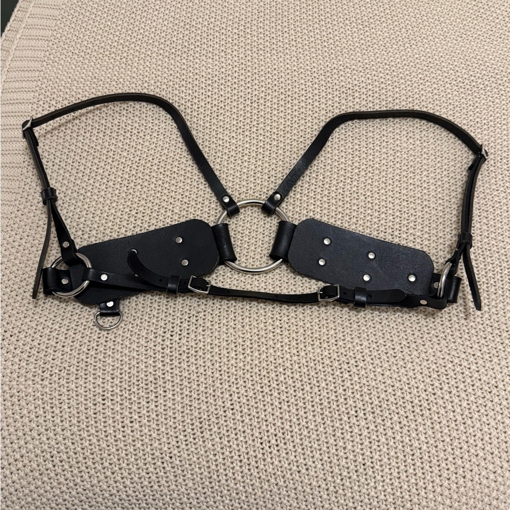 Black Leather Harness with nickle accents.